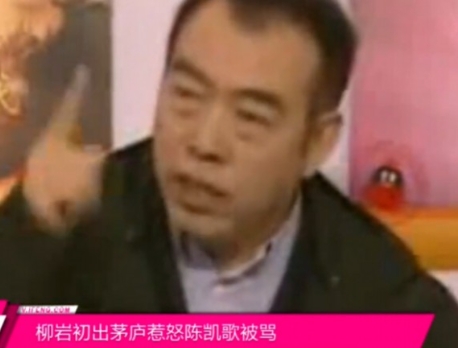 2005年，电影《无极》上映的前三天陈凯歌夫妇接受媒体采访，那会新人主持柳岩十分