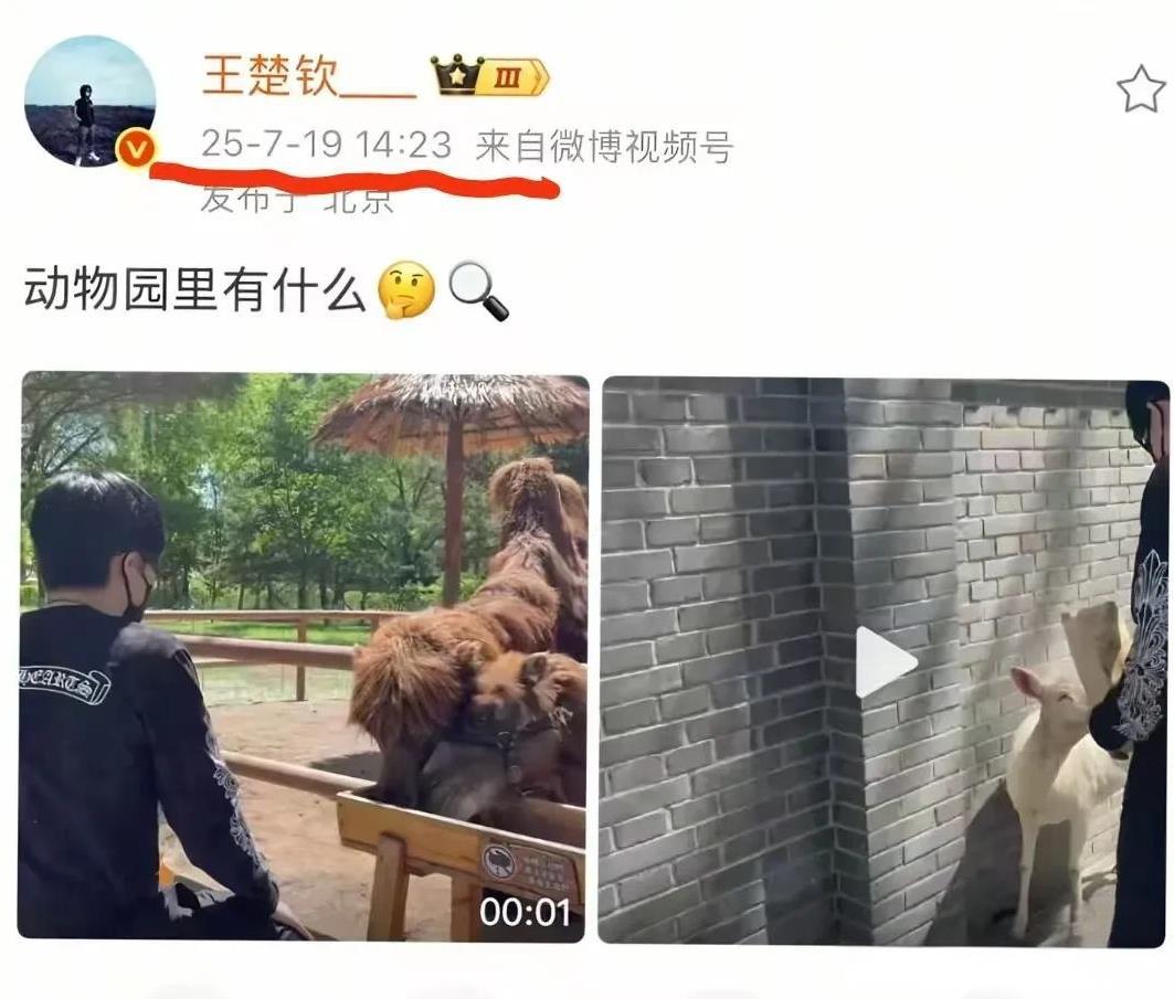 今天楚钦发去动物园的视频，藏了三个月的视频终干发出来了。
咱就是说动物园有啥的