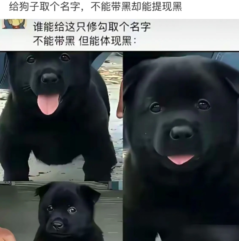 取个名字