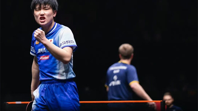 林诗栋太可惜！张本智和自曝半决赛前已受伤，回应来中国参赛氛围