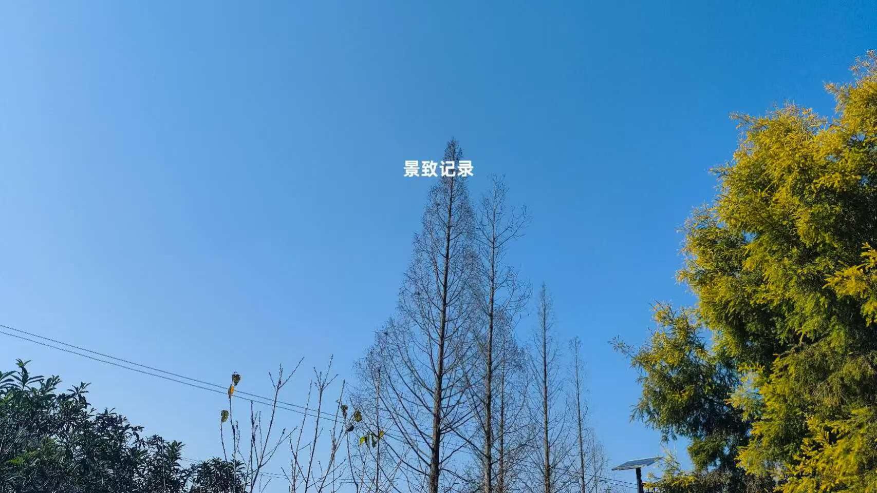 景致记录：年轻城市辛辛那提，狄更斯参观义务教育、旁听法官审案