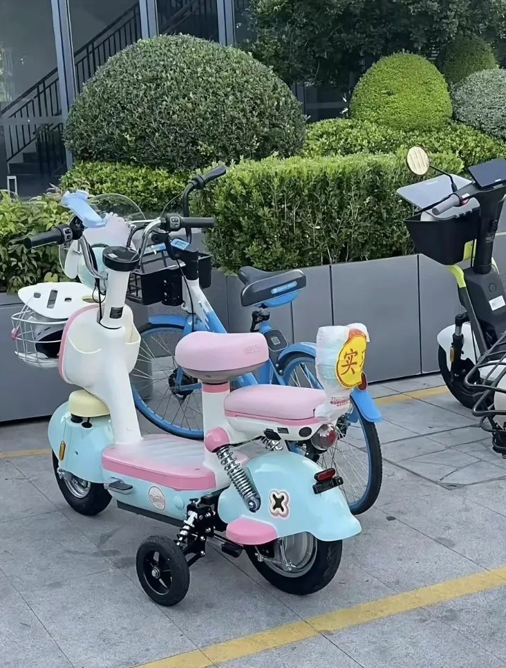 第一次见电瓶车还有辅助轮