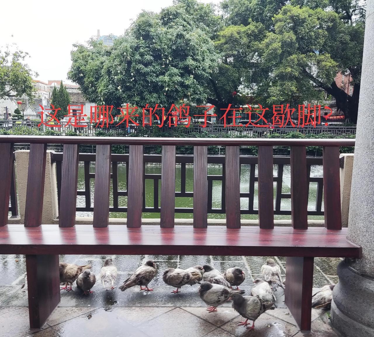 #晒图笔记大赛#