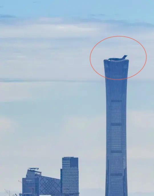 胖妞飞行高度528米，别问我咋知道的。