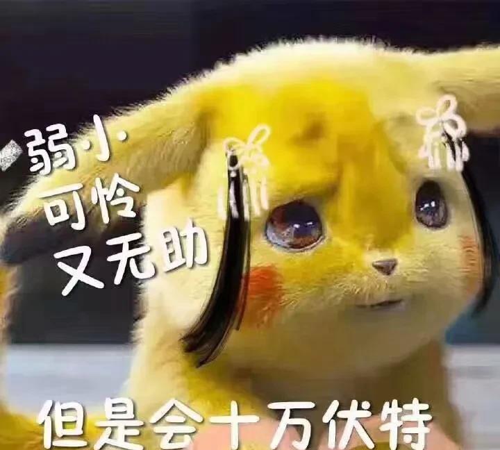 #分享城市新鲜事#