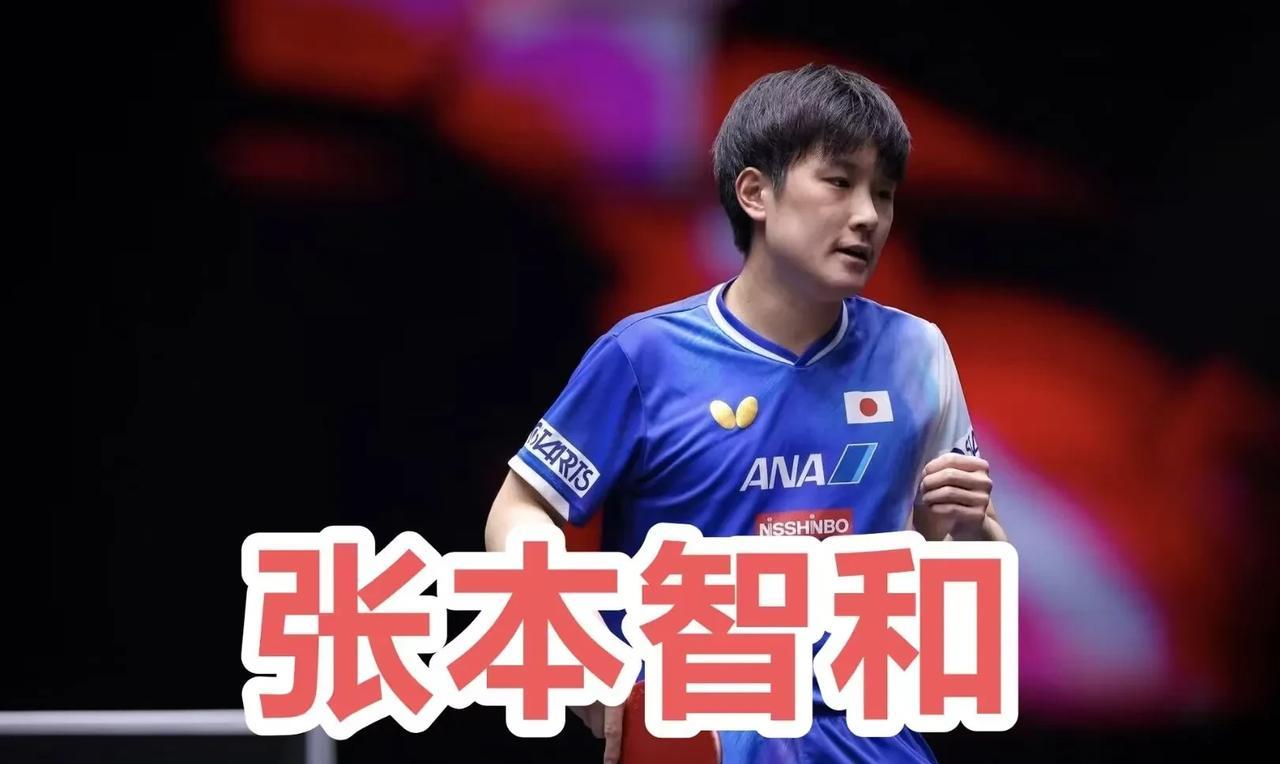 #头号创作者激励计划#张本智和：因为误解的人好像很多，所以最后总结一下。 T联赛
