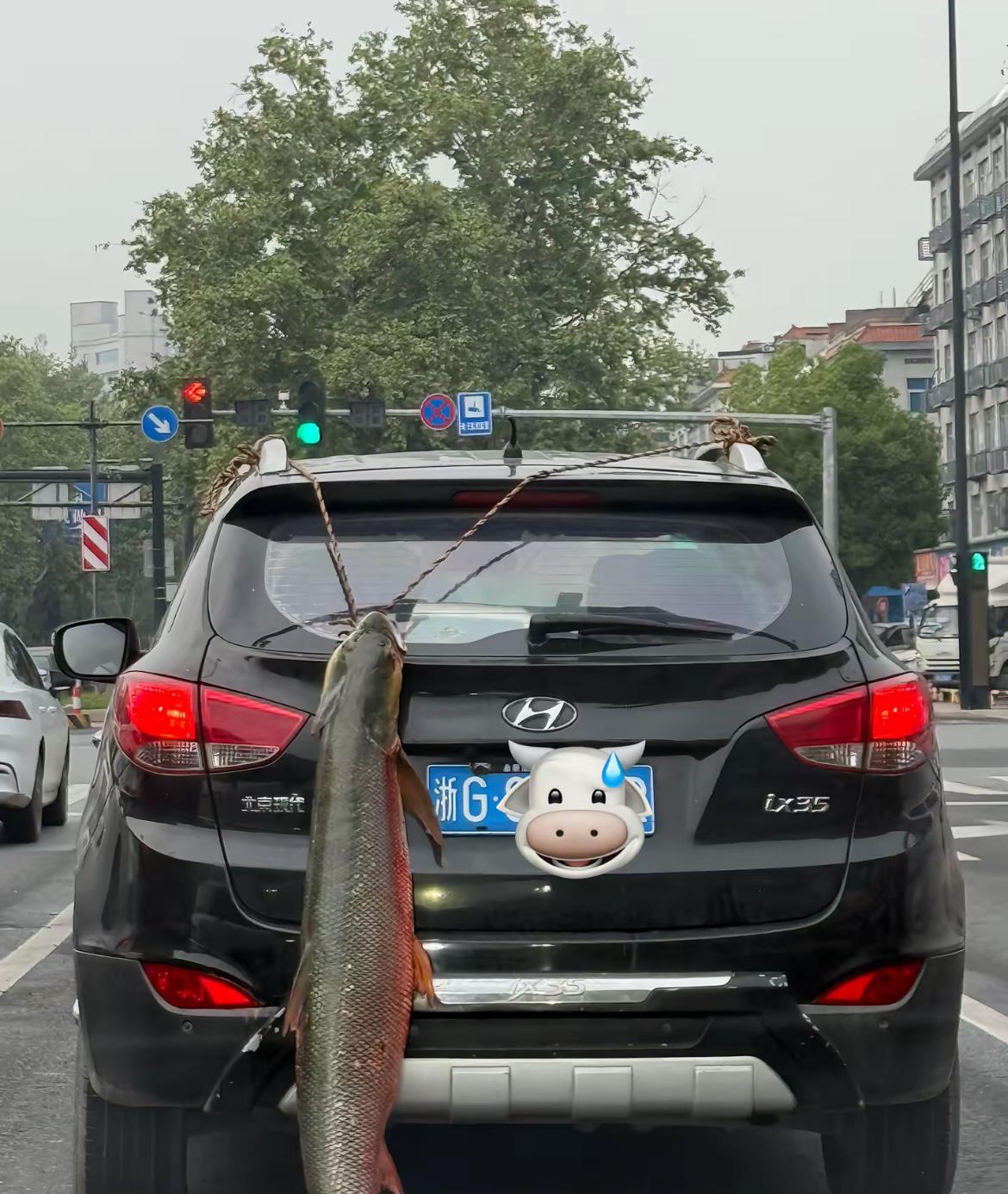 你是怎么知道他钓到20斤大鱼？