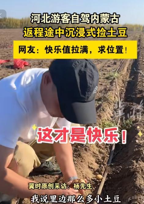 “这简直是捡钱啊！”10月5日，内蒙古，一男子开车到内蒙古自驾游，返程途中路过土