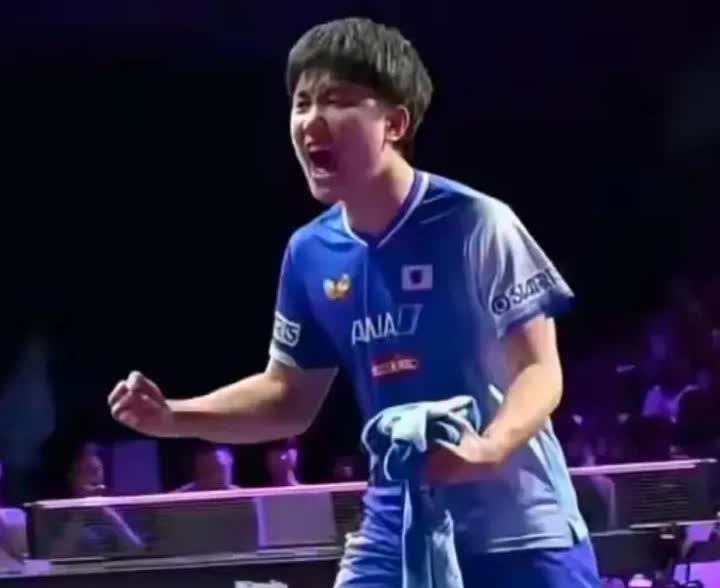 张本智和啊张本智和！
八年了，都没有被他打怕，
昨天他赢了向鹏就在开香槟了，