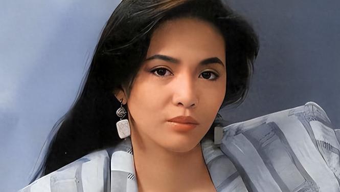 梦想不息，奋斗不止：郑裕玲的辉煌与独立之路