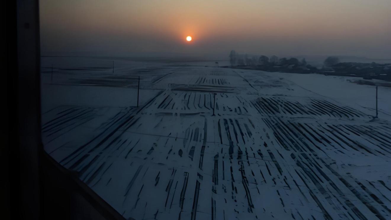 请别再用“合群”绑架我：我们是如何在“必须服从”中，失去自我的？