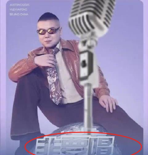 我以为岳云鹏演唱会是为了多方面发展
也怀疑他是想割韭菜
但让人万万没想到的是，他