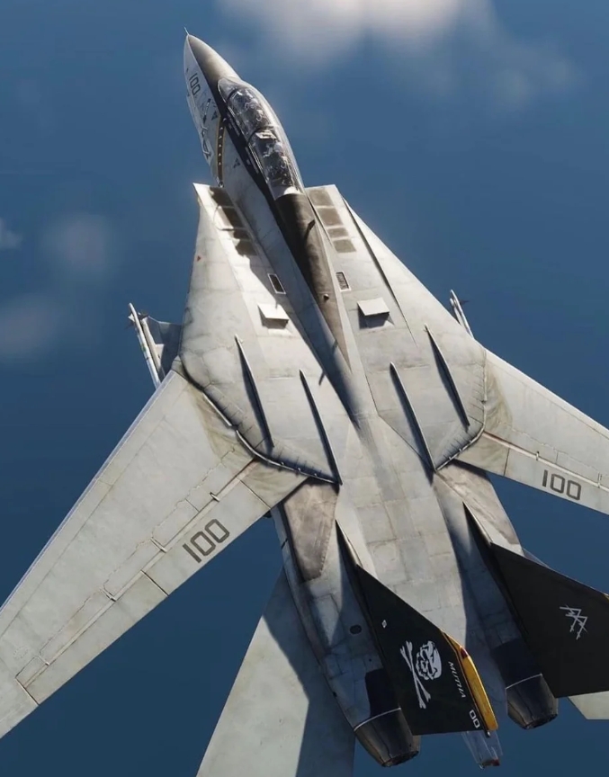 F-14“雄猫”战机机长大约19米，机高4.88米。采用变后掠翼设计，翼展面积大