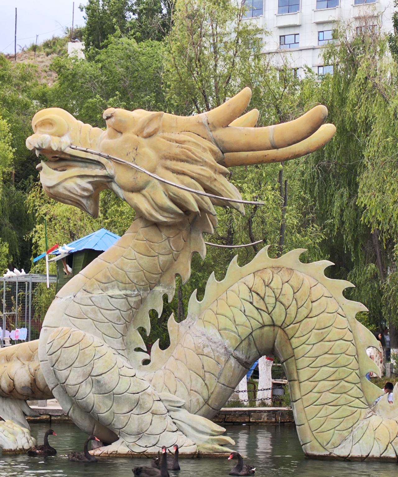 #发一张图片，让我猜出你在哪里拍的#看看这是乌市哪里！