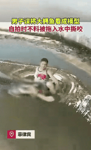 你是不是傻？又掉鳄鱼池了？











我的天！你敢信吗？那家伙竟然又