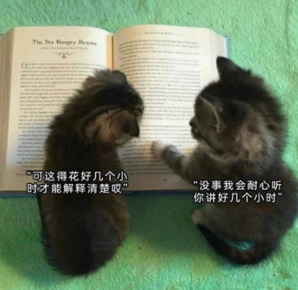 情绪价值到位