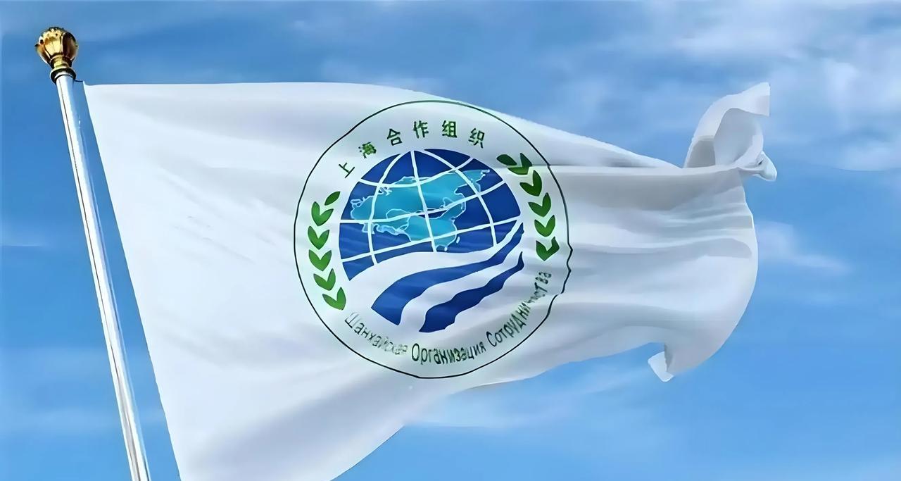 上合组织发声了！
2025年6月14日，上海合作组织发表声明，强烈谴责以色列6月