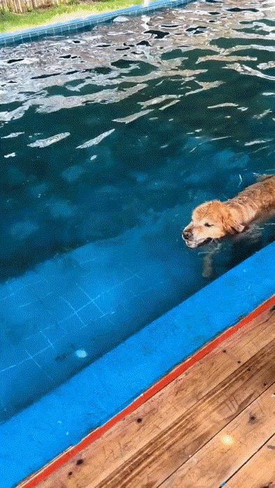 看样子应该没少喝呀[捂脸]