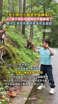 “人教人百言无用，事教人一次入心！”贵州，7岁男孩喜欢竖中指，被批评后又对着猴子