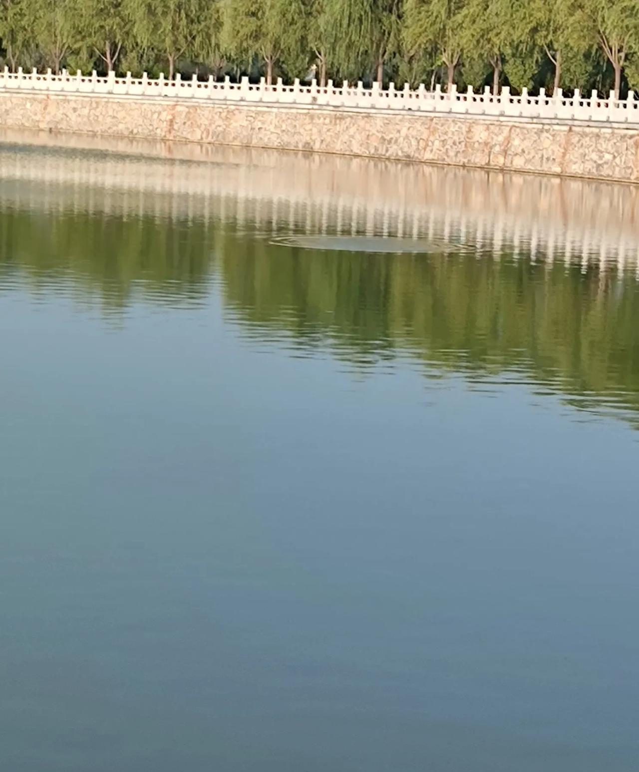 我们单位来了几个实习大学生，天天上班卡着点来，来了就开始点外卖，有时是奶茶，有时