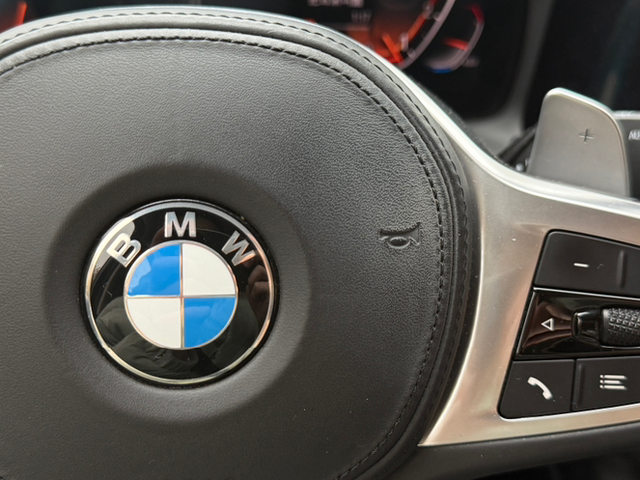 有没有朋友跟我一样这该怎么办
方向盘盖板上的皮不知道为什么局部泛白，看着非常膈应