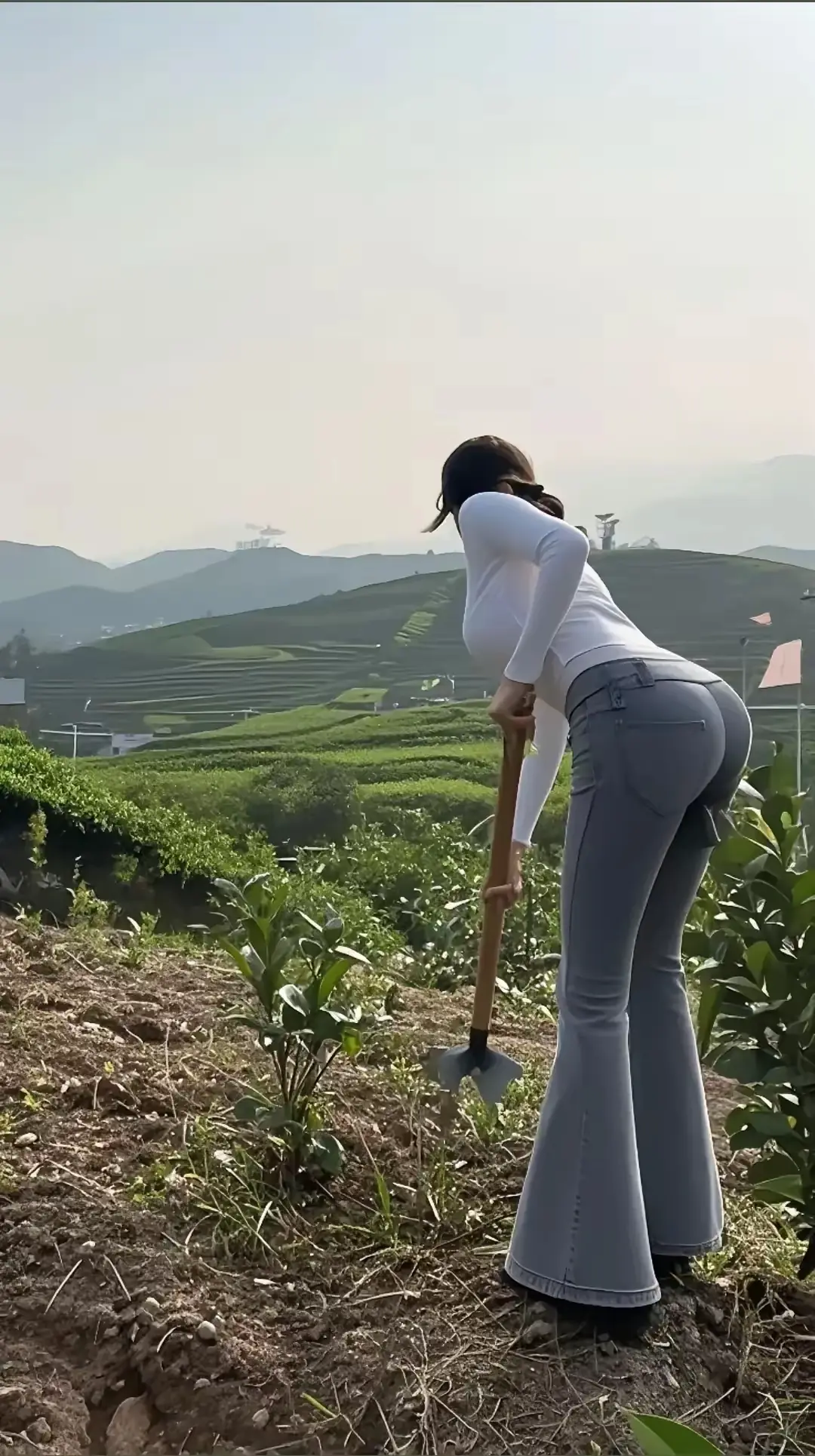 穿得这么干净下地干活，不怕弄脏？