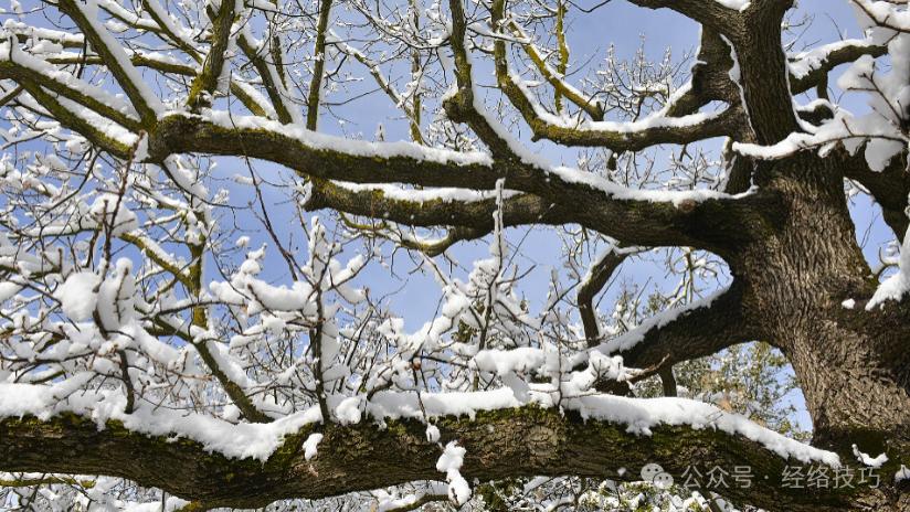 《黄帝内经》：吃得太咸正在悄悄拖垮你的肾
