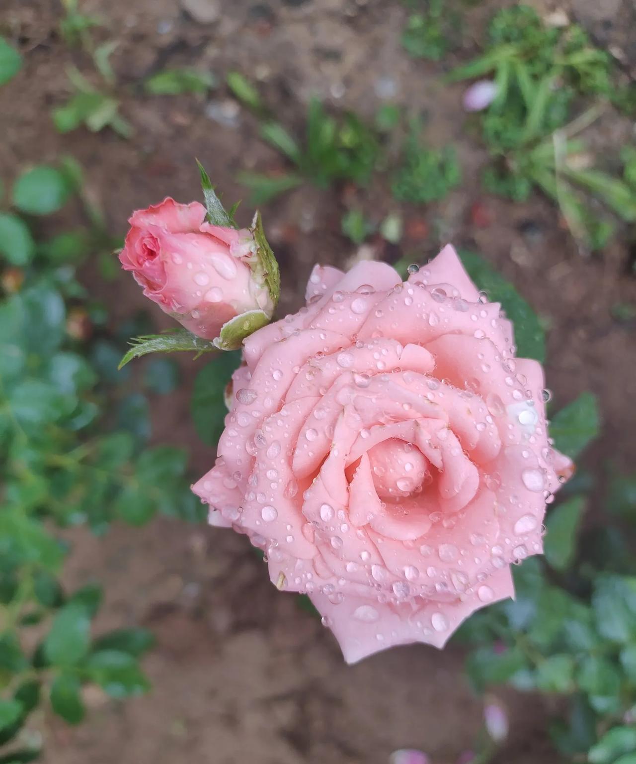#分享城市新鲜事#去年夏天，最热的时候，女儿发生了高热抽搐，自从那次生病痊愈后，