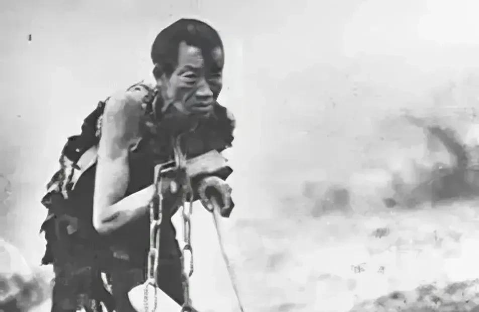 红军营长被青海西宁牧民扣押为奴隶
1950年青海西宁解放路两旁的商铺已挂上崭新的