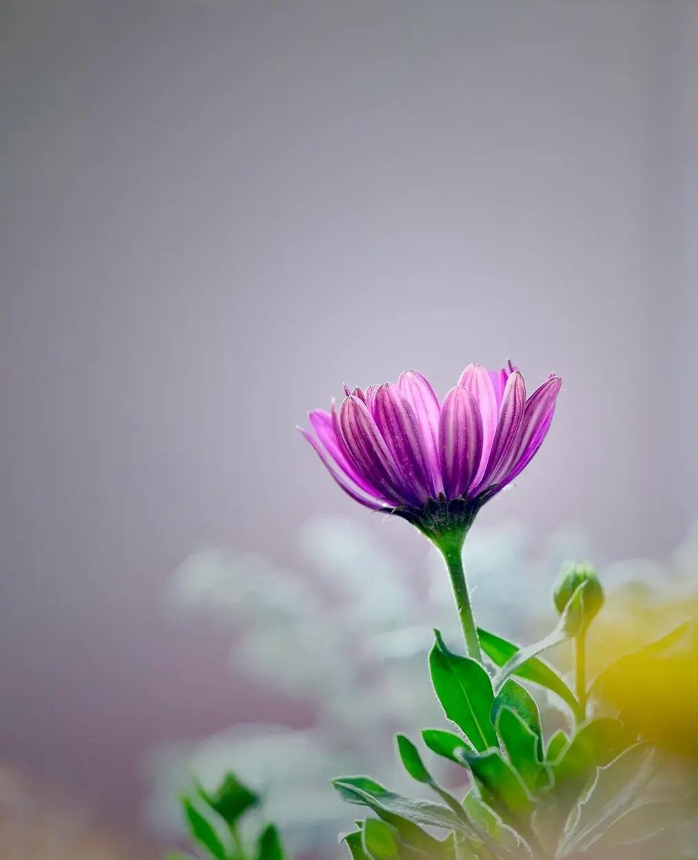 我有个表哥，在县城经营一家饸饹面馆，他家的饸饹面在当地挺有名气，每天前来吃面的顾