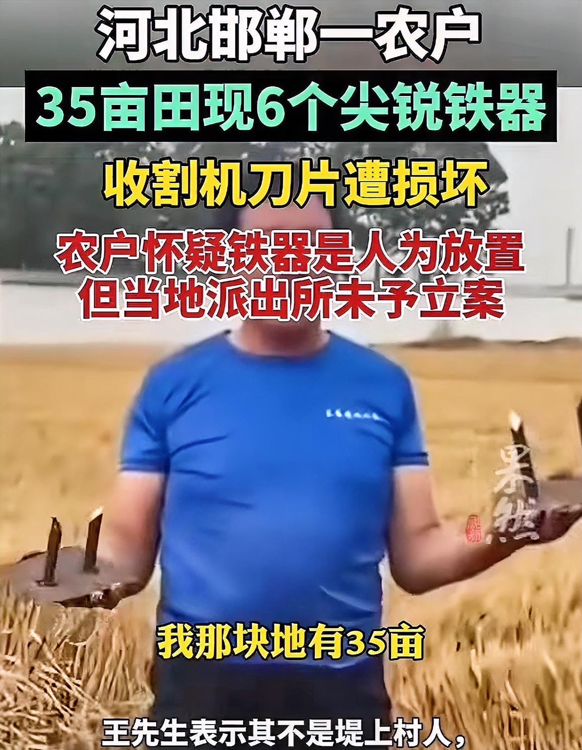 这要缺几辈子德，才能干这事！
河北邯郸，一农户承包了35亩地种植小麦，今年在收割
