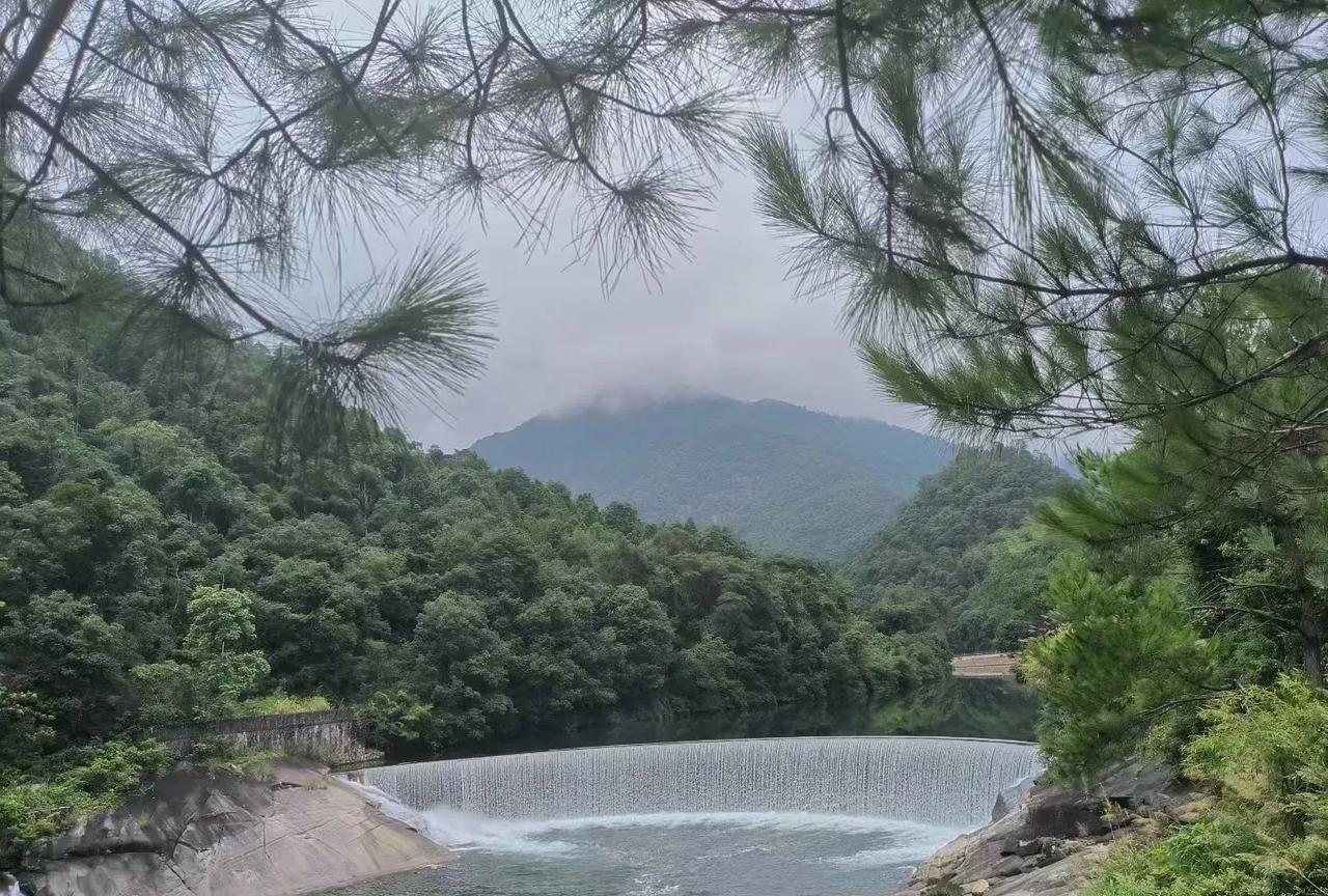 旺另一半的宝藏生肖：
1、生肖鼠
属鼠人天生是细节控和危机预警机！他们心思缜密，