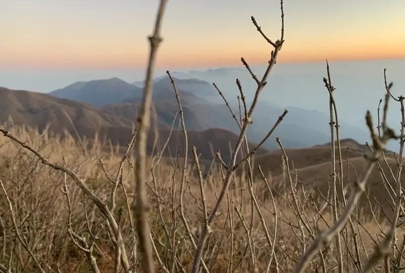 七绝诗真的很有韵味。像唐温如的《题龙阳县青草湖》，“醉后不知天在水，满船清梦压星