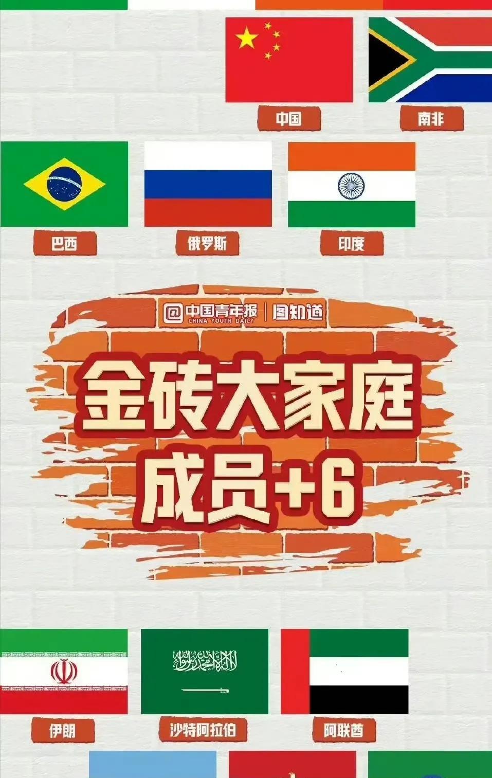 越南以伙伴国身份加入金砖国家合作机制
金砖正式成员国——巴西、俄罗斯、印度尼西亚