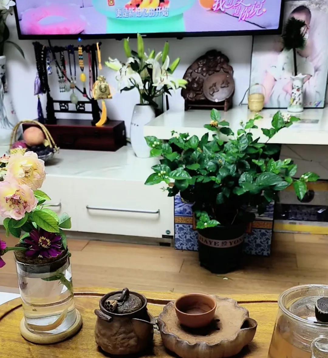 柴桑大姐揭开了15人小群的惊人秘密！
有个录音：
很多的亲粉，我也不知道那些个人