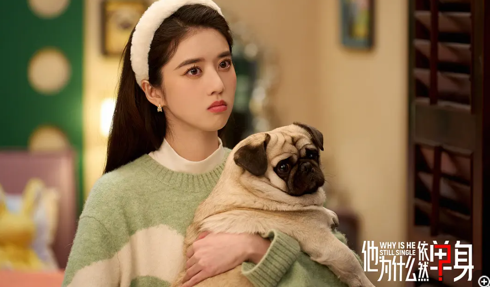    《他为什么依然单身》：一部帮孤独正名的温柔启示录  
   这不是一部催婚