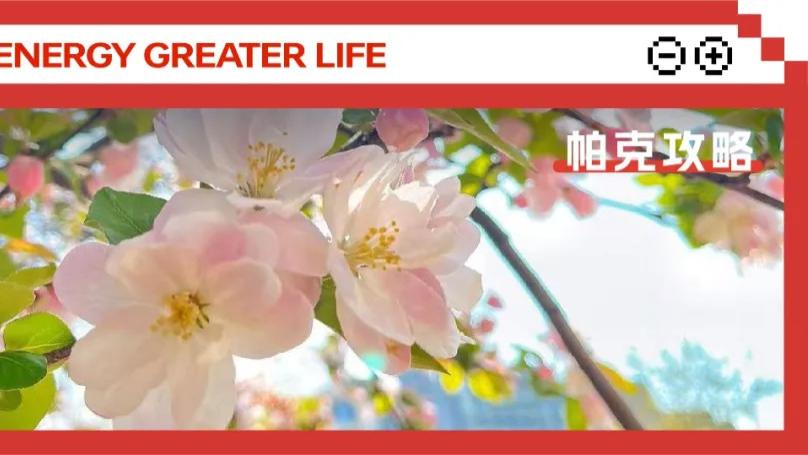 帕克攻略 | 春日电动汽车出行赏花图鉴