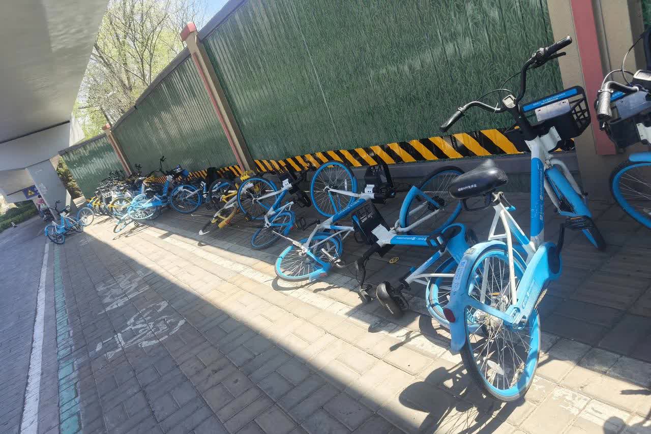 这城市怎么了？

早上7点，赶着上班的我，在大明湖路边看到一排共享单车横七竖