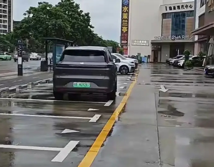 毫无疑问，理想车主已经成为低素质人群的耀眼名片。很多人说看见理想车主都绕着走，怕