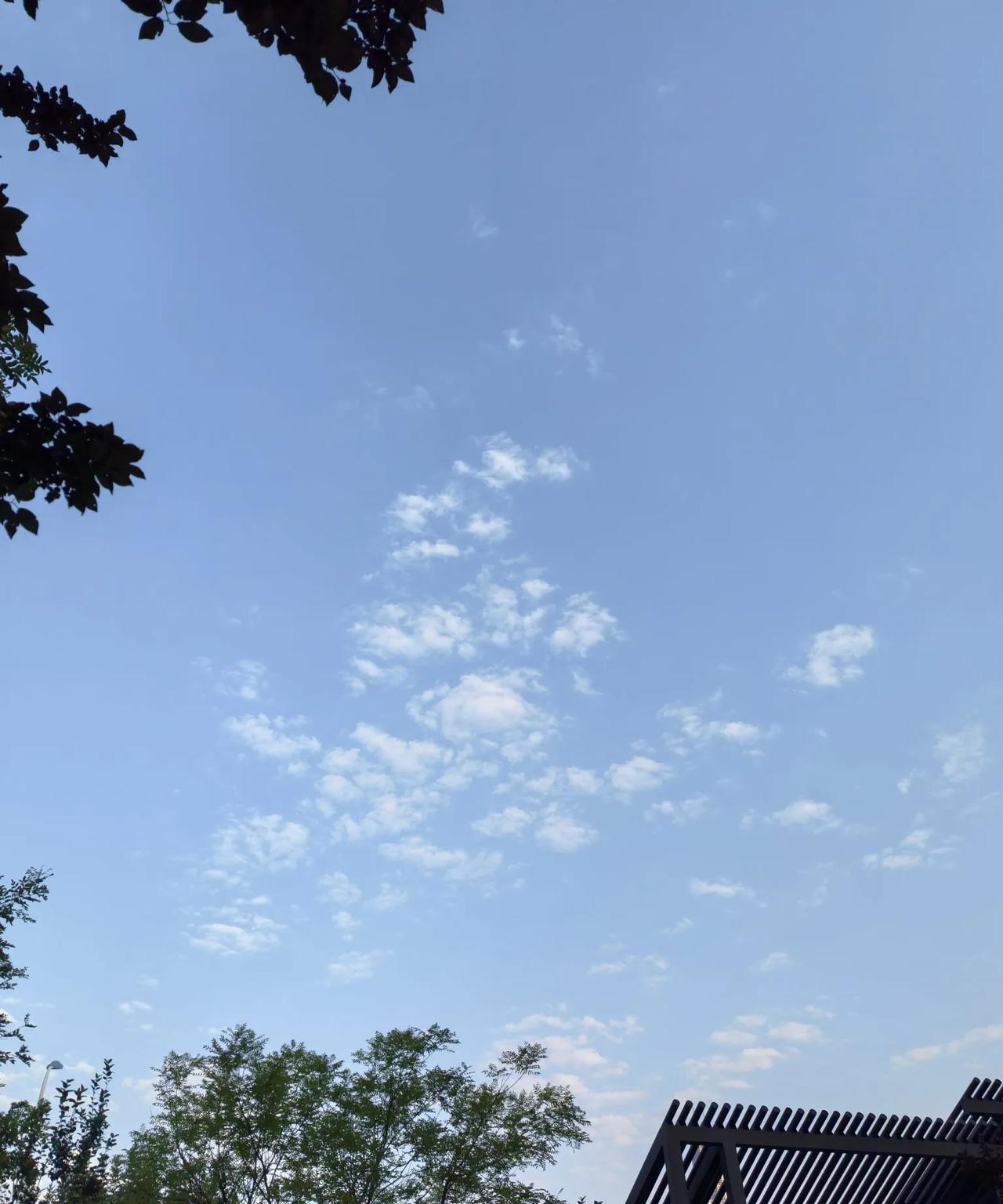 #随手拍一张你所在城市的蓝天景色#