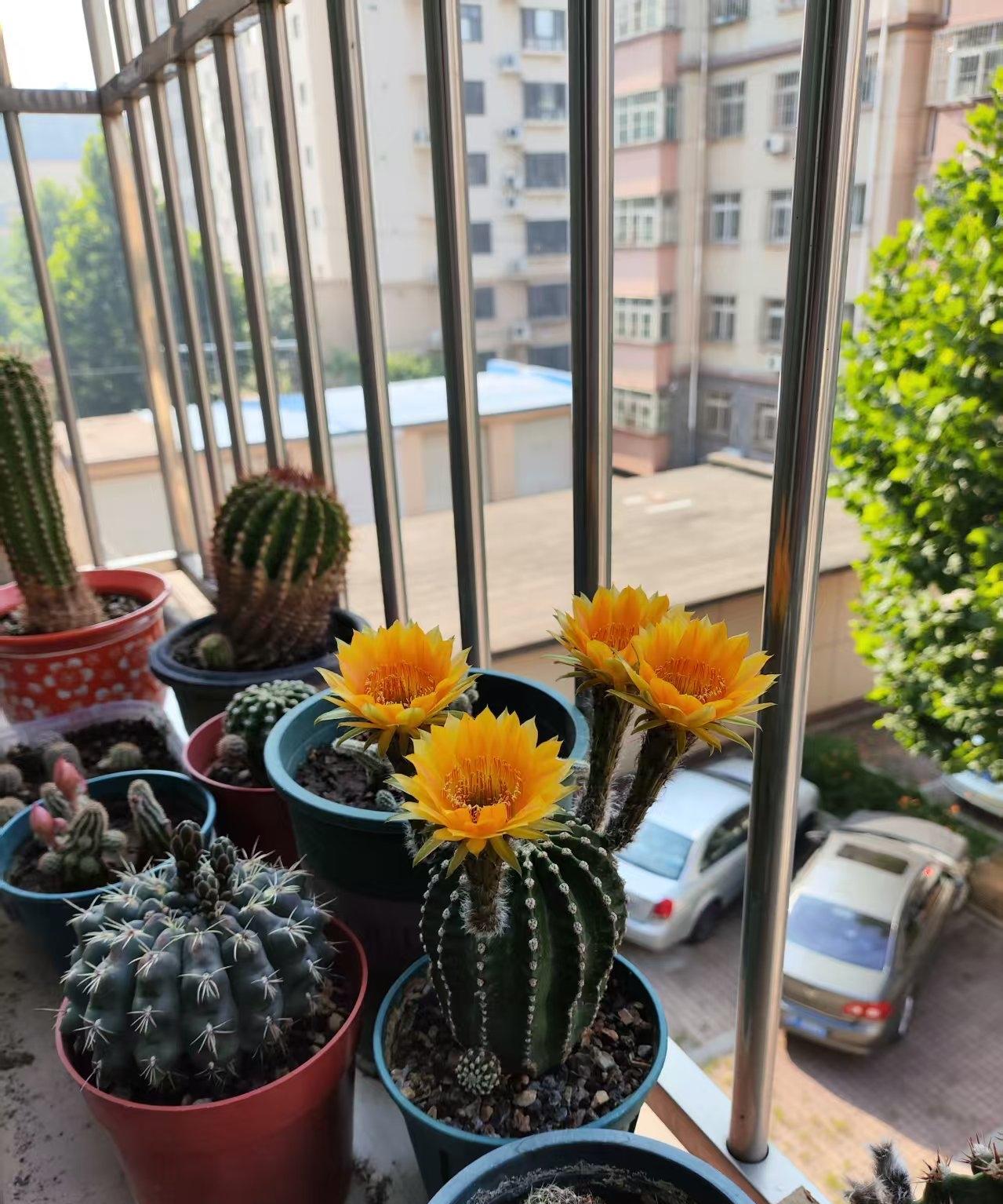 万般皆下品，唯有考编高。这句话你赞同吗？