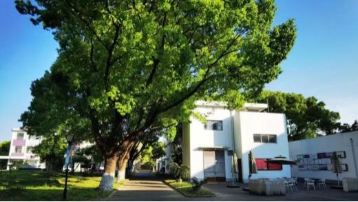 上海日高综合实力榜单