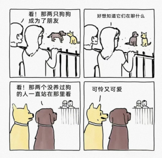 可怜又可爱