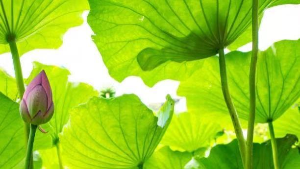 浙江宁波：部门推诿、执行停滞，镇海百万煤款二十年拖欠，债权人权益谁来兜底