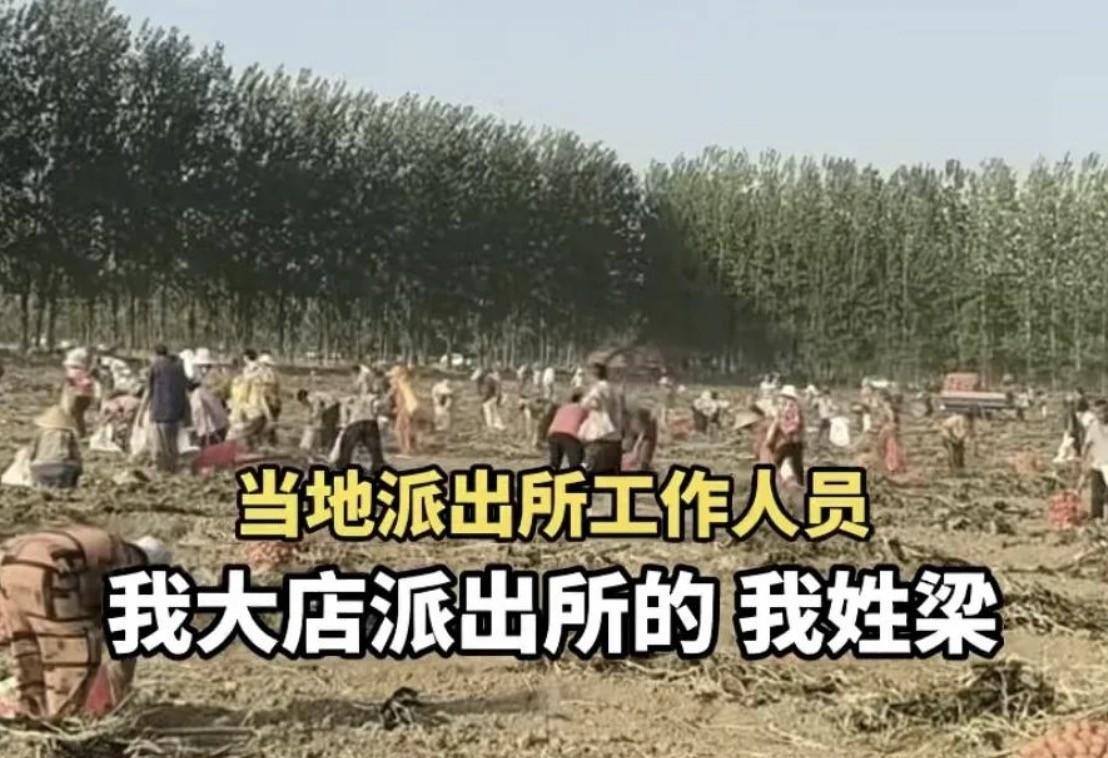 安徽一种植户土豆遭村民哄抢事件其实是可以避免的！我有注意到种植户曾先生有讲到，哄