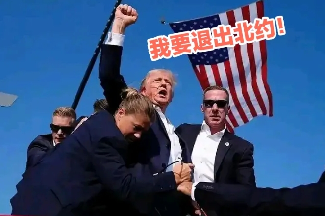 我要退出北约——  无论从欧洲撤出军队，还是退出联合国，都不如美国直接退出北约。