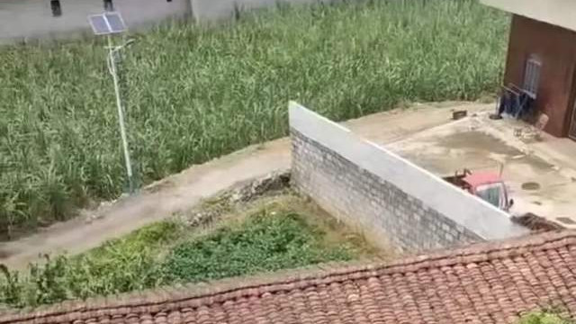 幻觉引血案，死刑定纷争：一墙之隔的悲剧与法律的深思