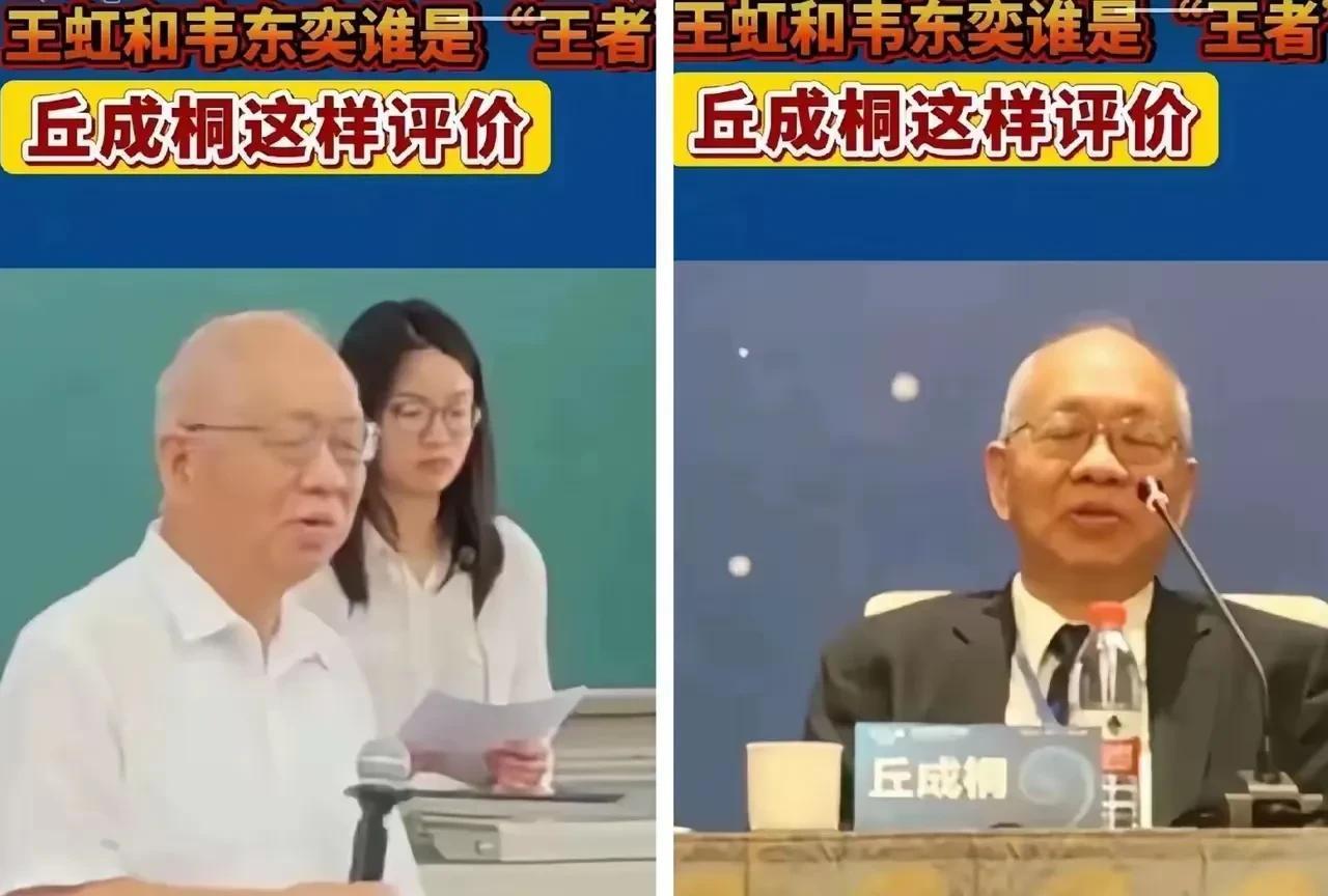 丘成桐作为数学界有影响的领军人物，完全辜负了国家和人民的期望，丘的所作所为，更像