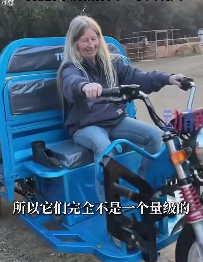 
从美国的角度来看，他们加关税是正确的。
因为如果不加关税，任凭让中国汽车企业进