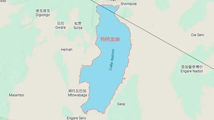 纳特龙湖石化鸟尸，真的是自然对生命的嘲讽吗？